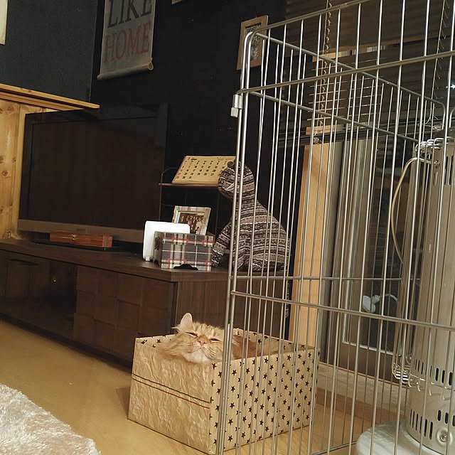 l..tomesanさんの実例写真