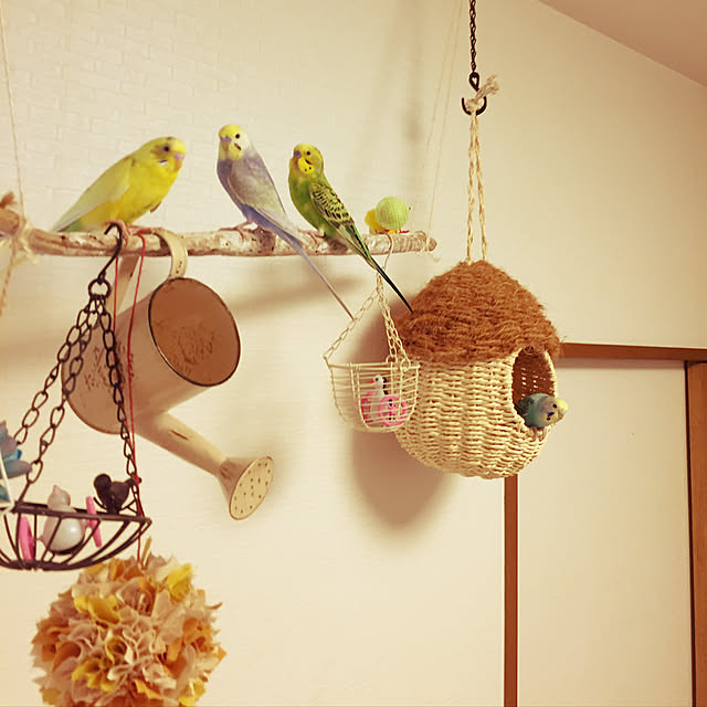 oniyomeさんの実例写真