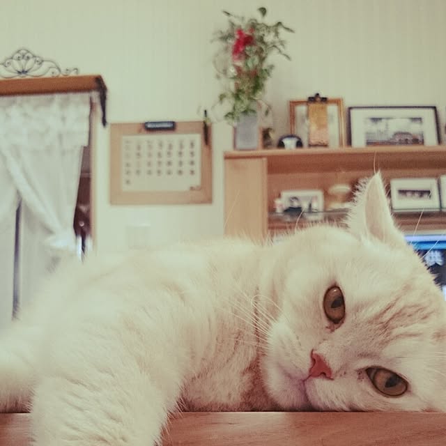 hanahanaさんの実例写真