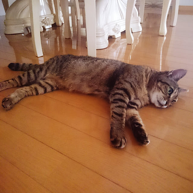 lilyさんの実例写真
