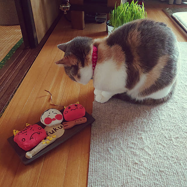 fukuさんの実例写真