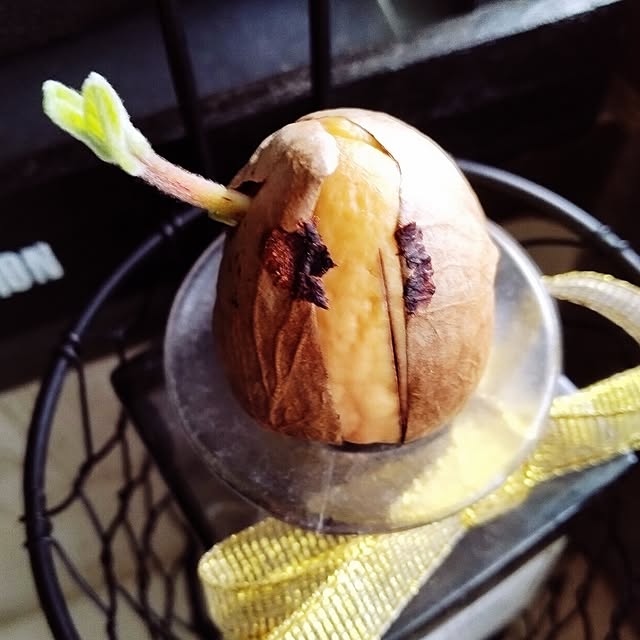 runaさんの部屋