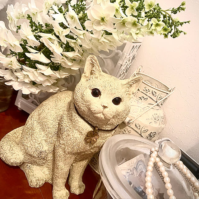 butachanさんの実例写真