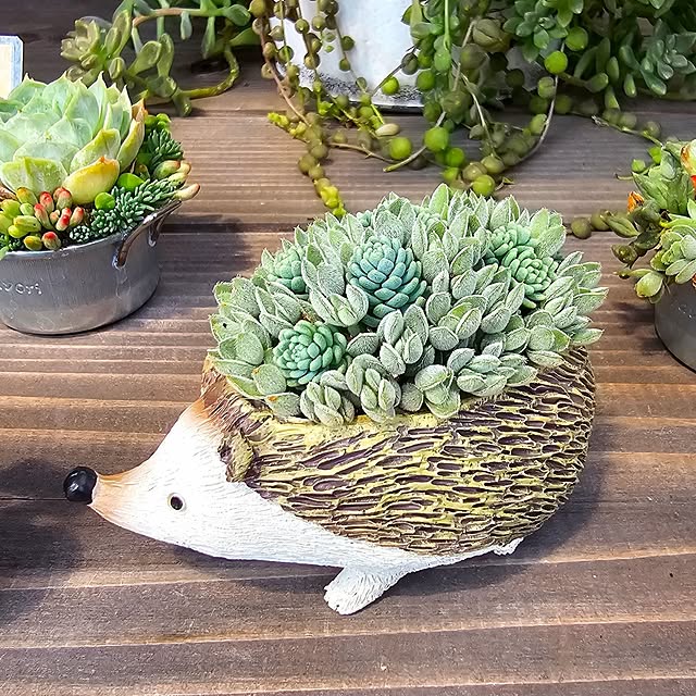 amtさんの実例写真