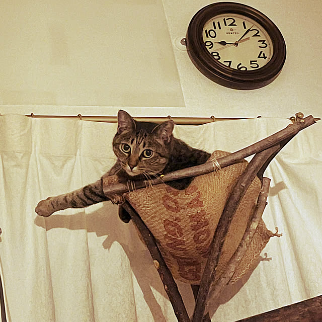 Mさんの実例写真
