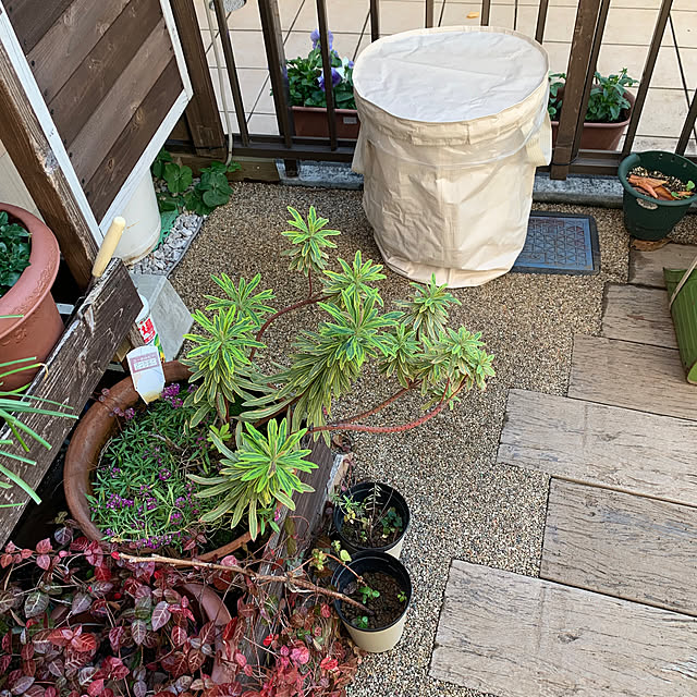 masakoさんの部屋