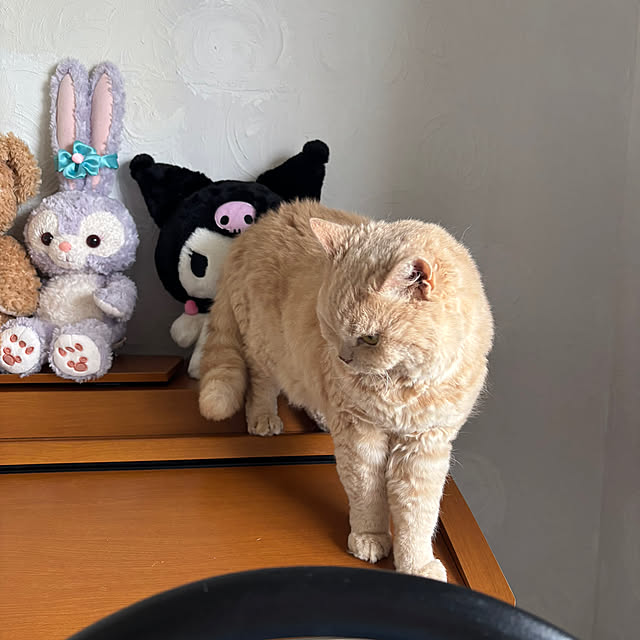 naokoさんの部屋