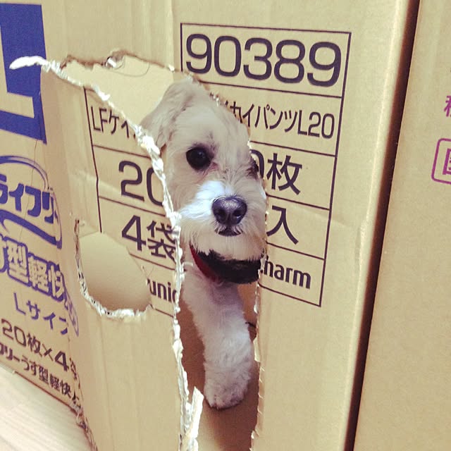 PANNAさんの実例写真
