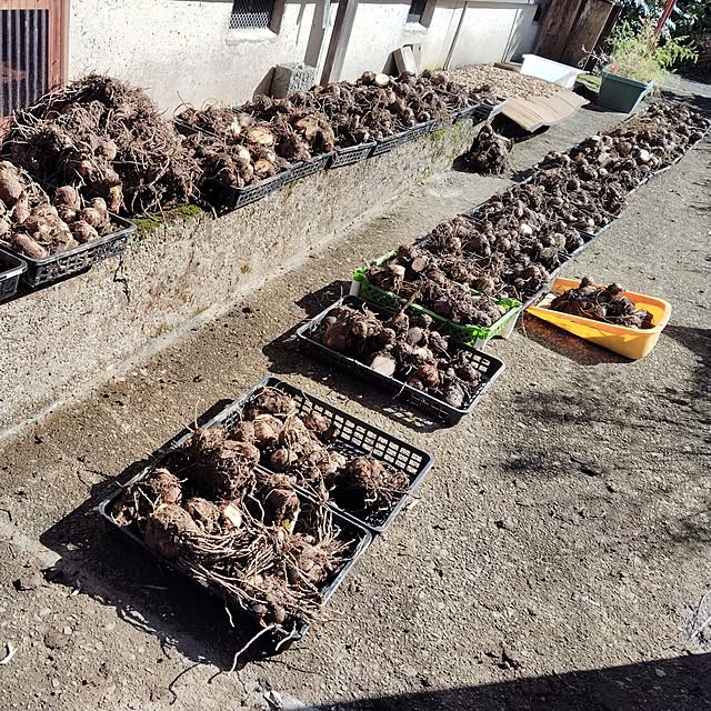 aoinokimiさんの実例写真