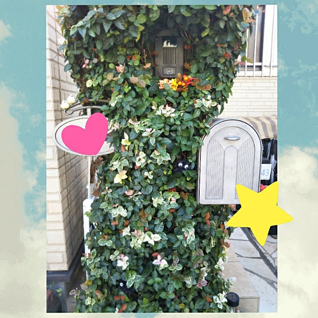 mokaさんの実例写真