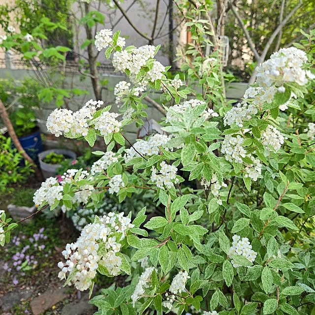 min_nimさんの実例写真