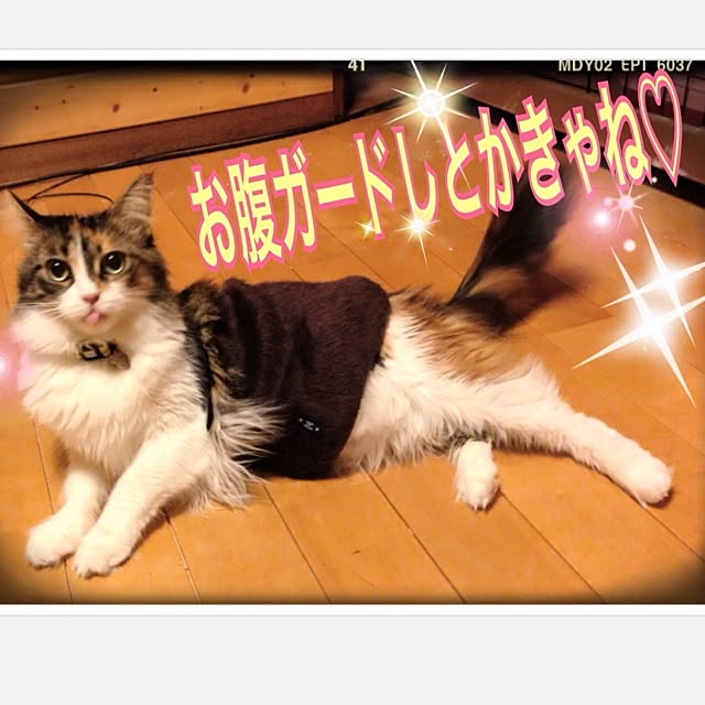 Realiser_son_reveさんの実例写真