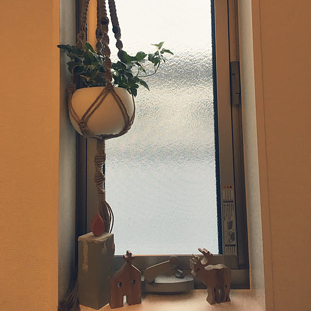 m31さんの実例写真
