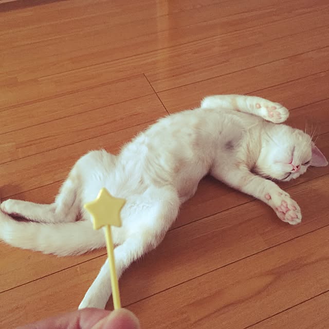 hiyupan88さんの実例写真