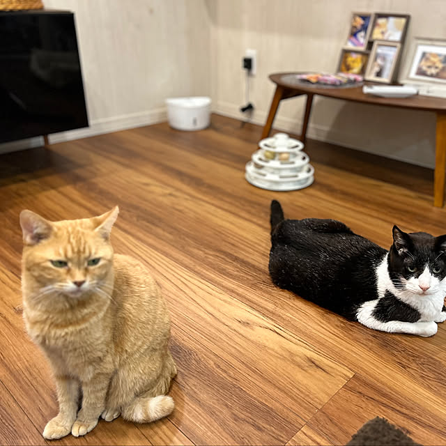 vol.3749写真