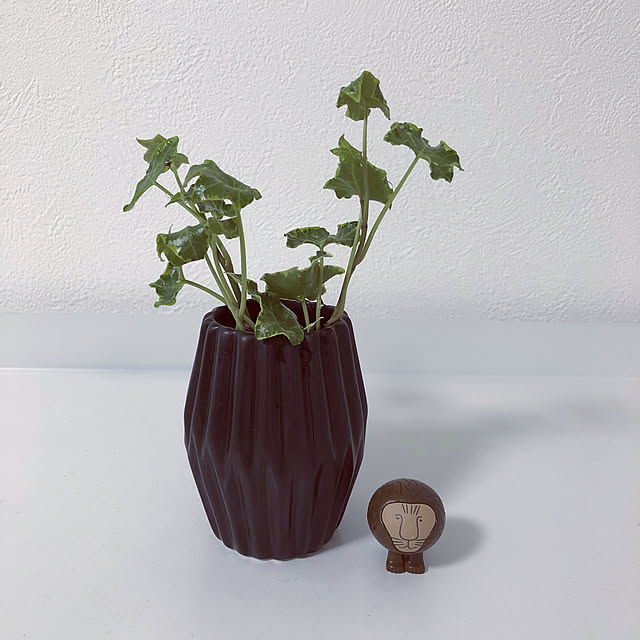 zukkoさんの実例写真