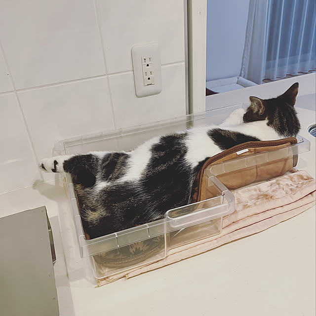 hemukoさんの実例写真