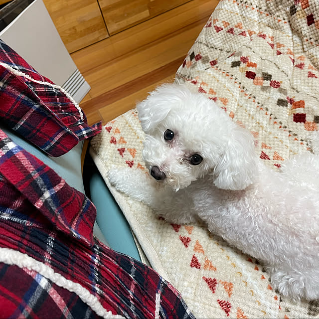 kakoさんの実例写真