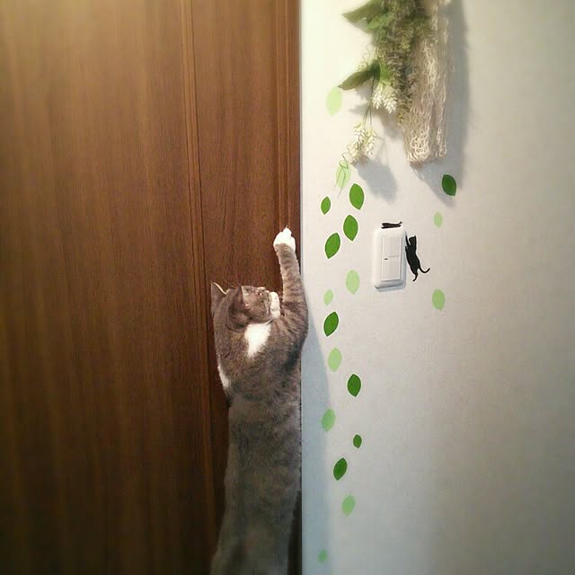 lovepandaさんの実例写真