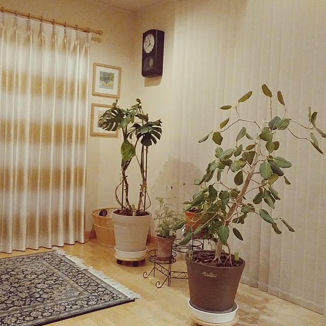 marimoさんの実例写真