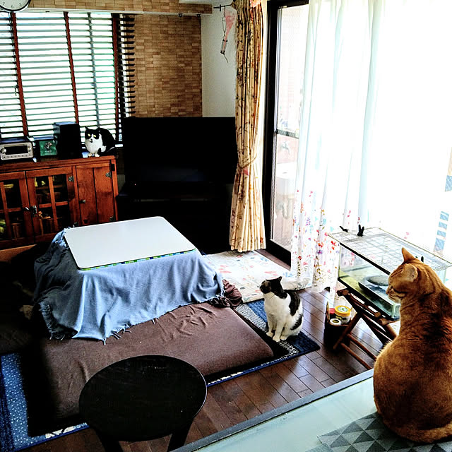 okyosan101さんの実例写真