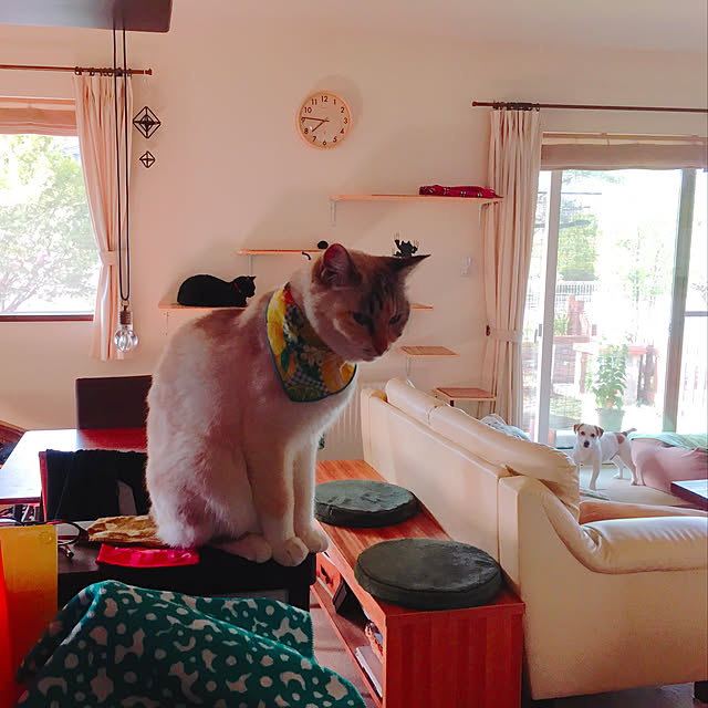 nanaさんの実例写真