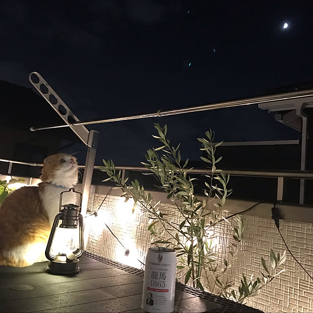 chachaharuloveさんの実例写真