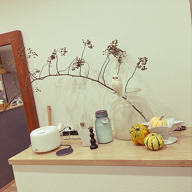 colorerさんの実例写真