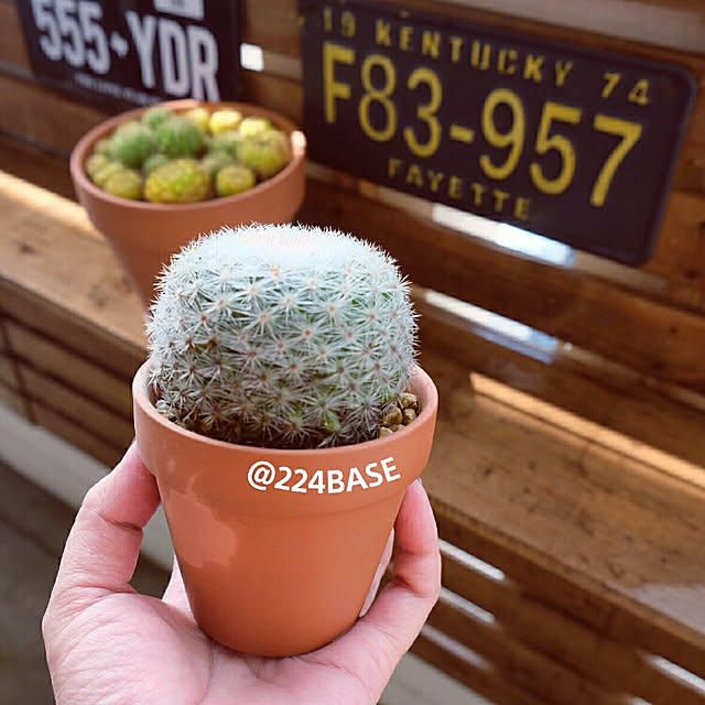 224BASEさんの実例写真