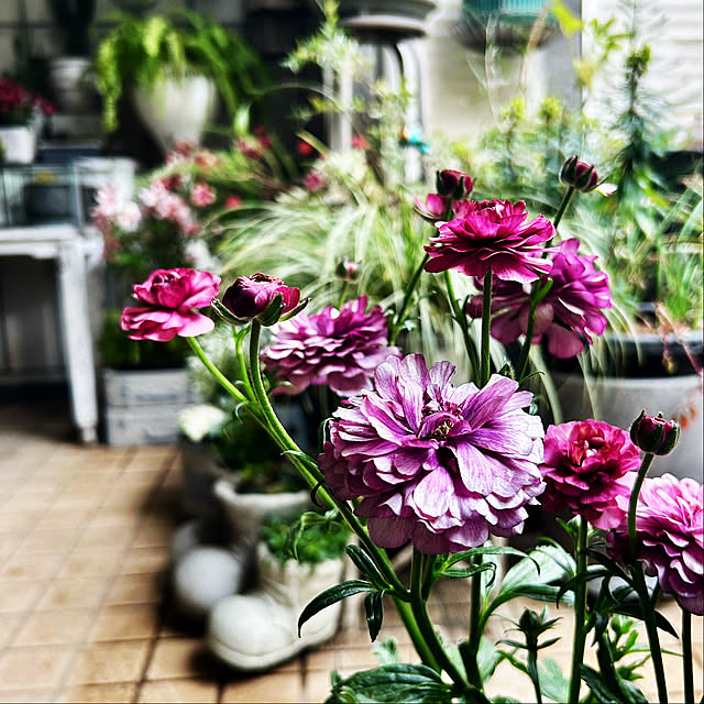 DAYONEさんの実例写真