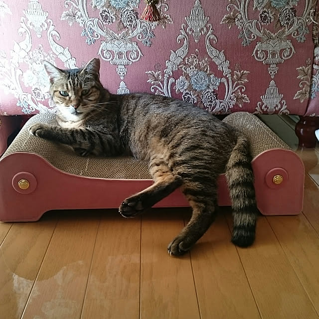 lilyさんの実例写真