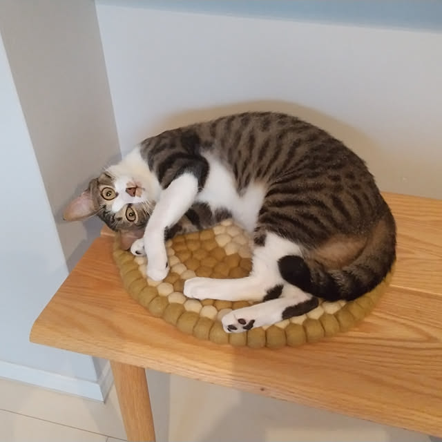hanacocoさんの実例写真