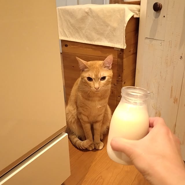 mayutan.さんの部屋