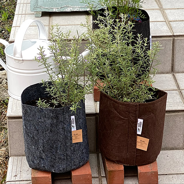 Satoさんの実例写真