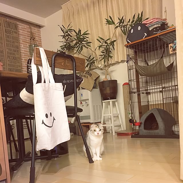 yokkochanさんの実例写真