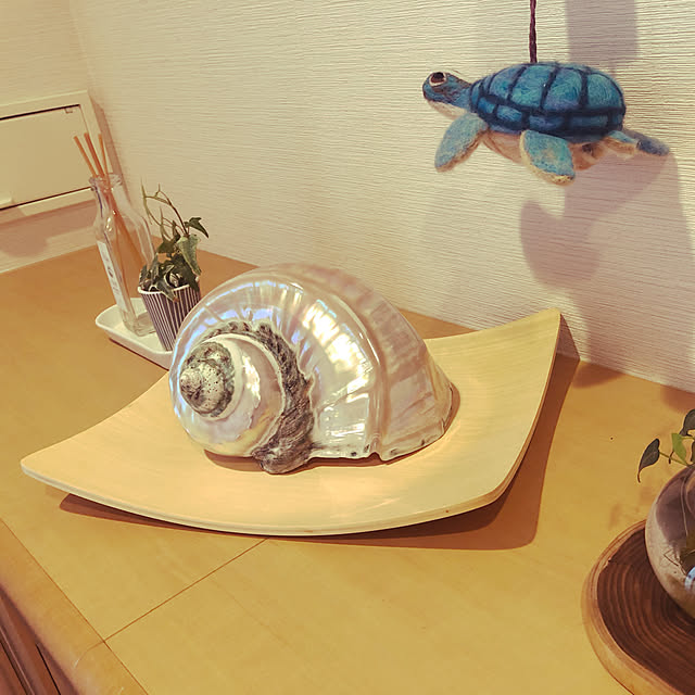 ryutomizuさんの実例写真