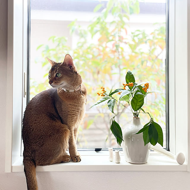 sakineko528さんの実例写真