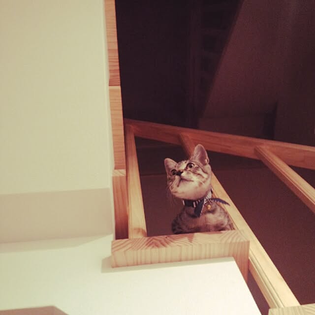 HACHIさんの実例写真
