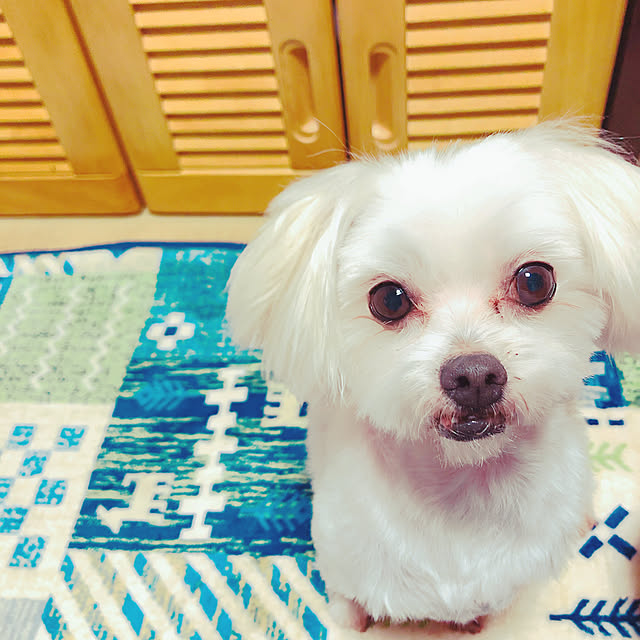 suzua419tavathaさんの実例写真