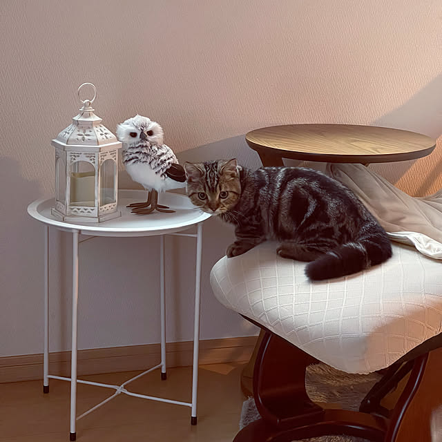 chiiさんの部屋