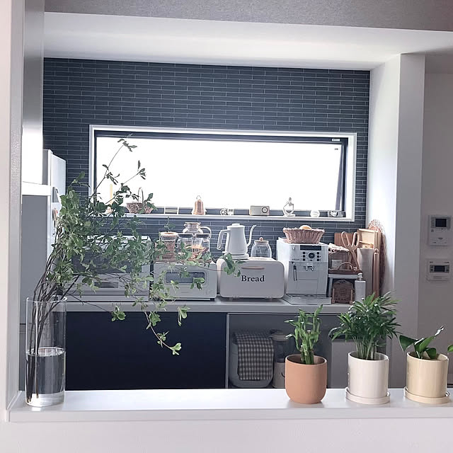 Oasaさんの部屋