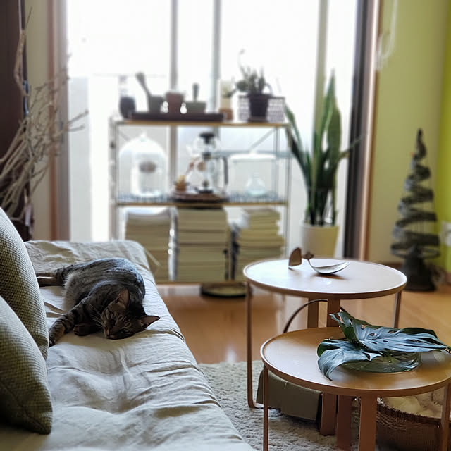 mitu_masaoさんの実例写真