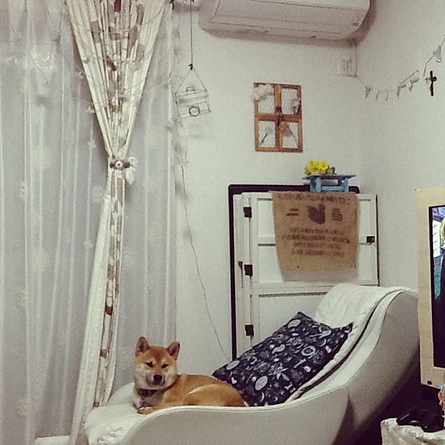 kotaさんの実例写真
