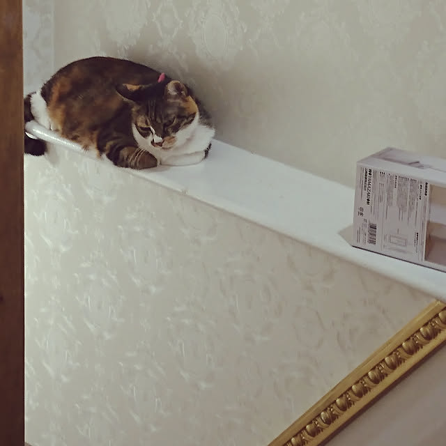 kingandqueenさんの実例写真