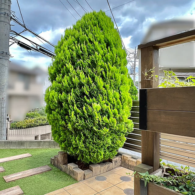 tomoccoさんの実例写真