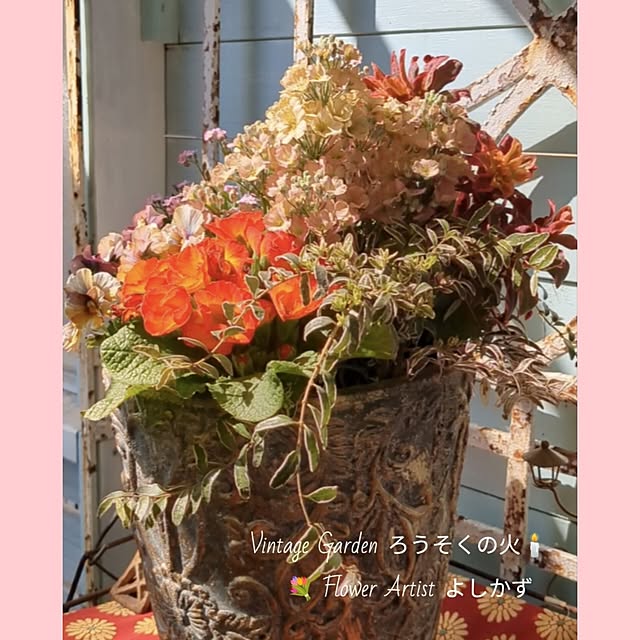 ElegantiqueFlowerさんの部屋