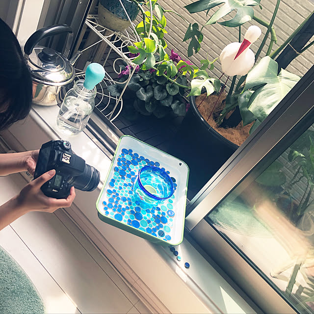 suzyさんの実例写真