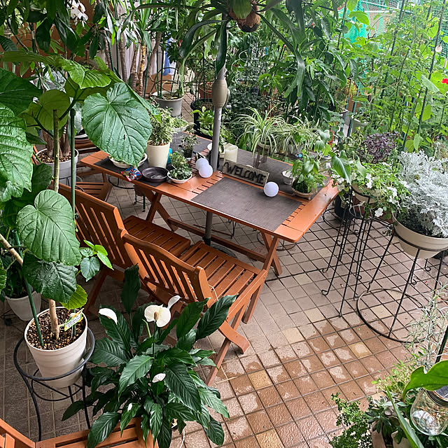Aqettyさんの部屋