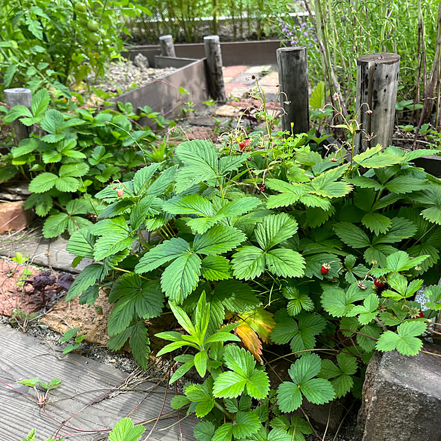 Maruさんの部屋