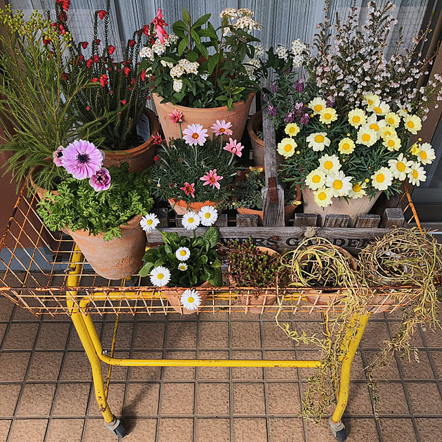 oさんの実例写真